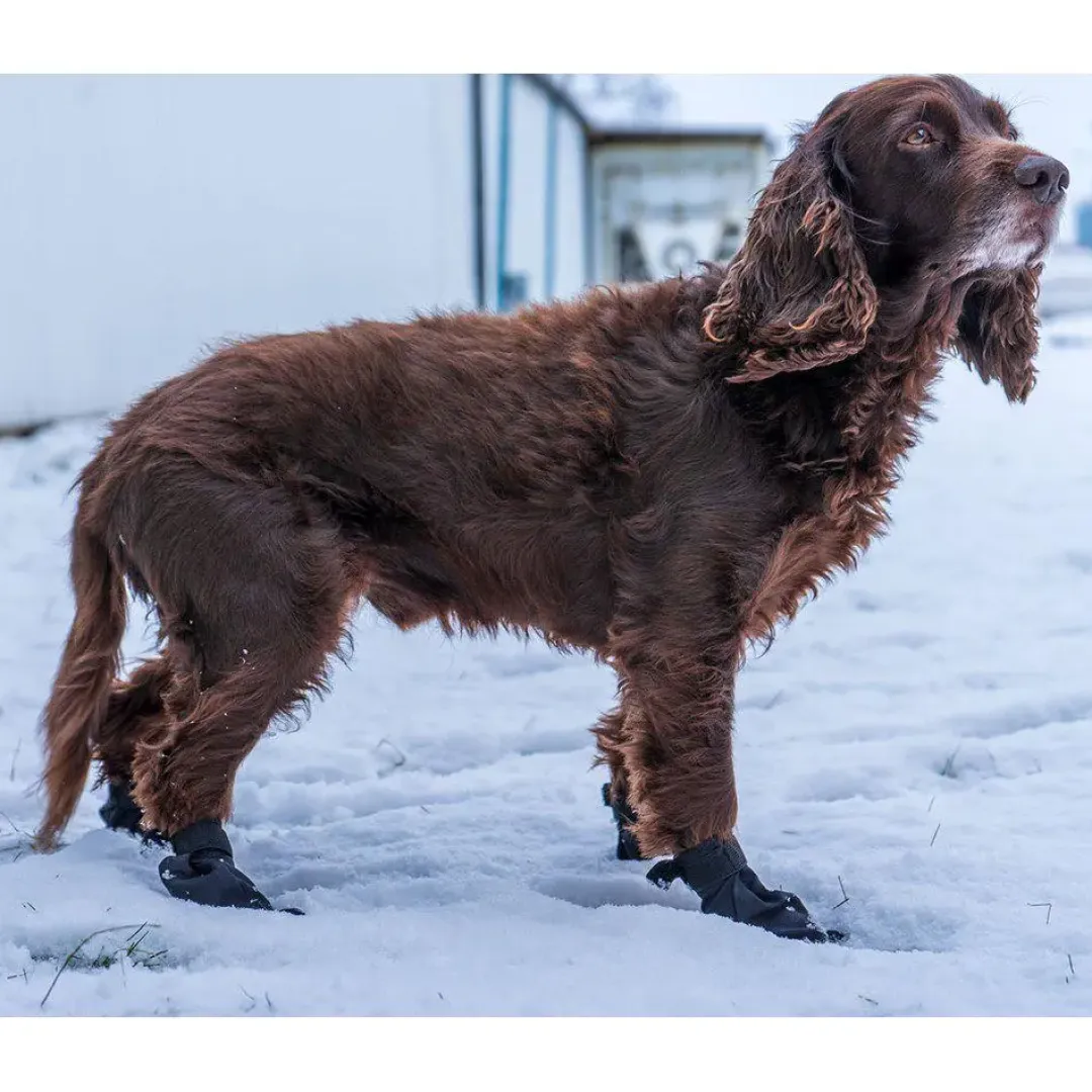Ozami hundesokker XXS sort - beskytter små poter