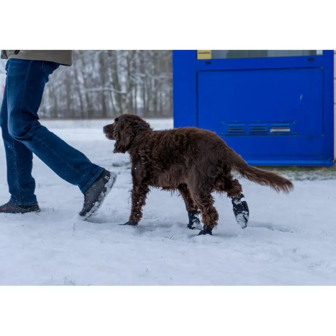Ozami hundesokker XXS sort - beskytter små poter