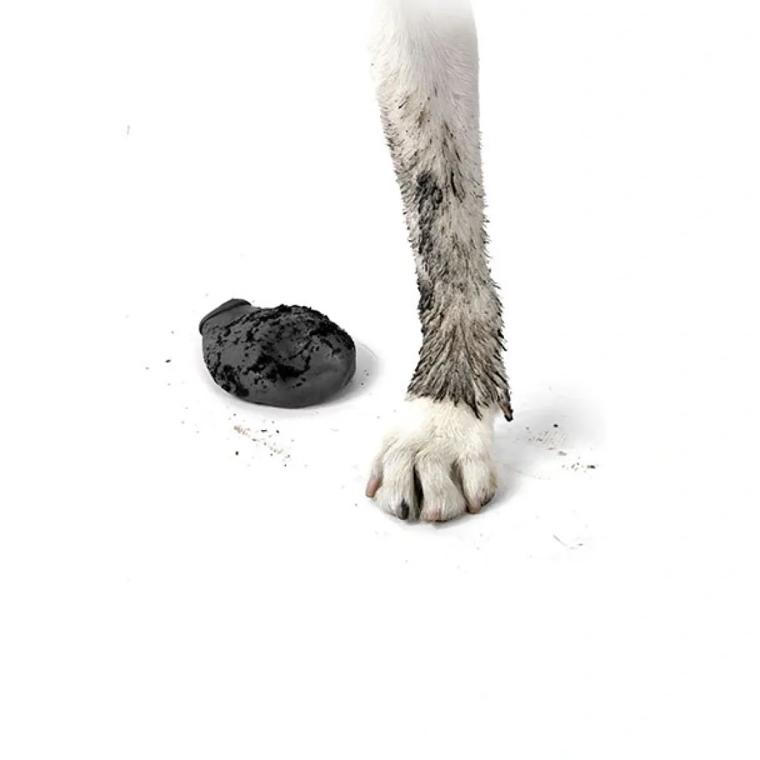 Pawz Hundesko Medium 7,6 cm sort