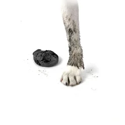 Pawz Hundesko Tiny 2,5 cm sort