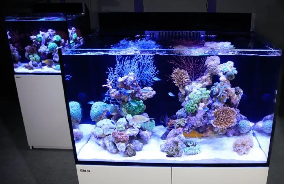 RedSea Red Sea Akvarium Max E-260 Hvid