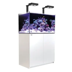 RedSea Red Sea Akvarium Reefer Deluxe Hvid 250