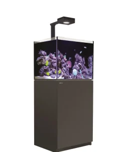 RedSea Red Sea Akvarium Reefer Deluxe Sort 170