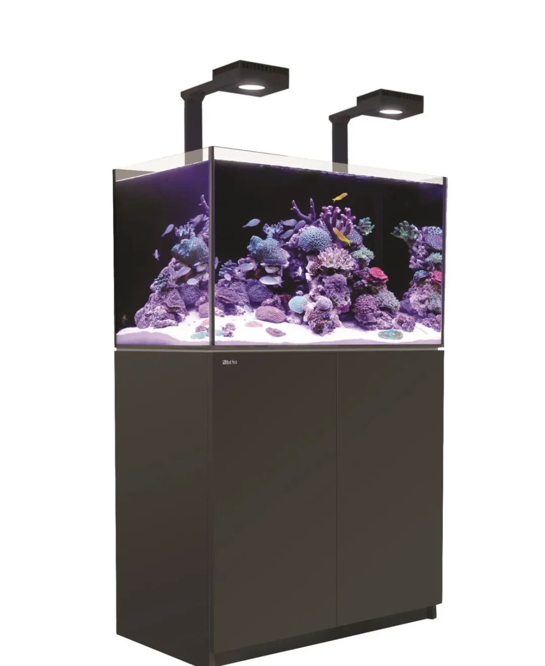 RedSea Red Sea Akvarium Reefer Deluxe Sort 250