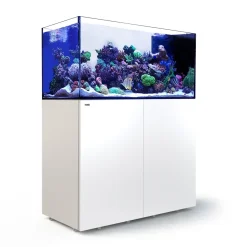 RedSea Red Sea Akvarium sæt Peninsula P500 Hvid