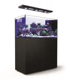 RedSea Red Sea Akvarium sæt Peninsula P500 Deluxe Sort