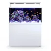 RedSea Red Sea MAX S-500 Liter Hvid G2