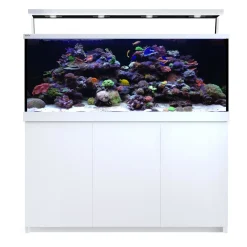 RedSea Red Sea MAX S-650 Liter Hvid G2