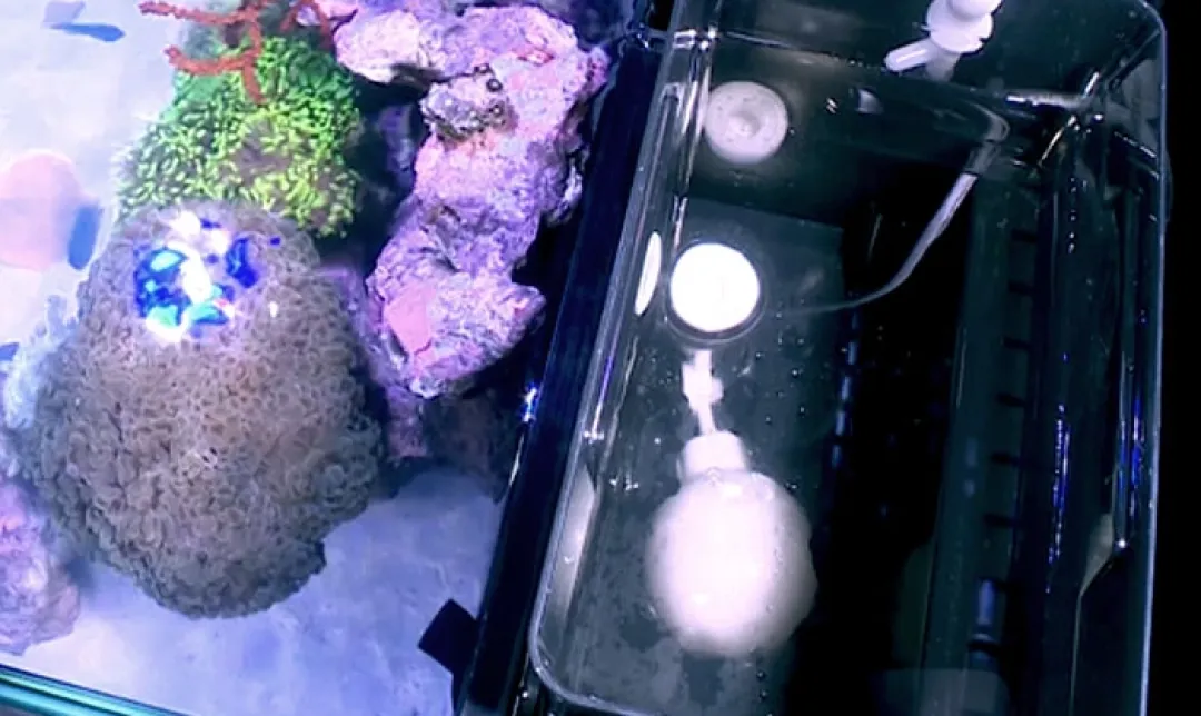 RedSea Red Sea Nano Max Complete Reef System Hvidt G2