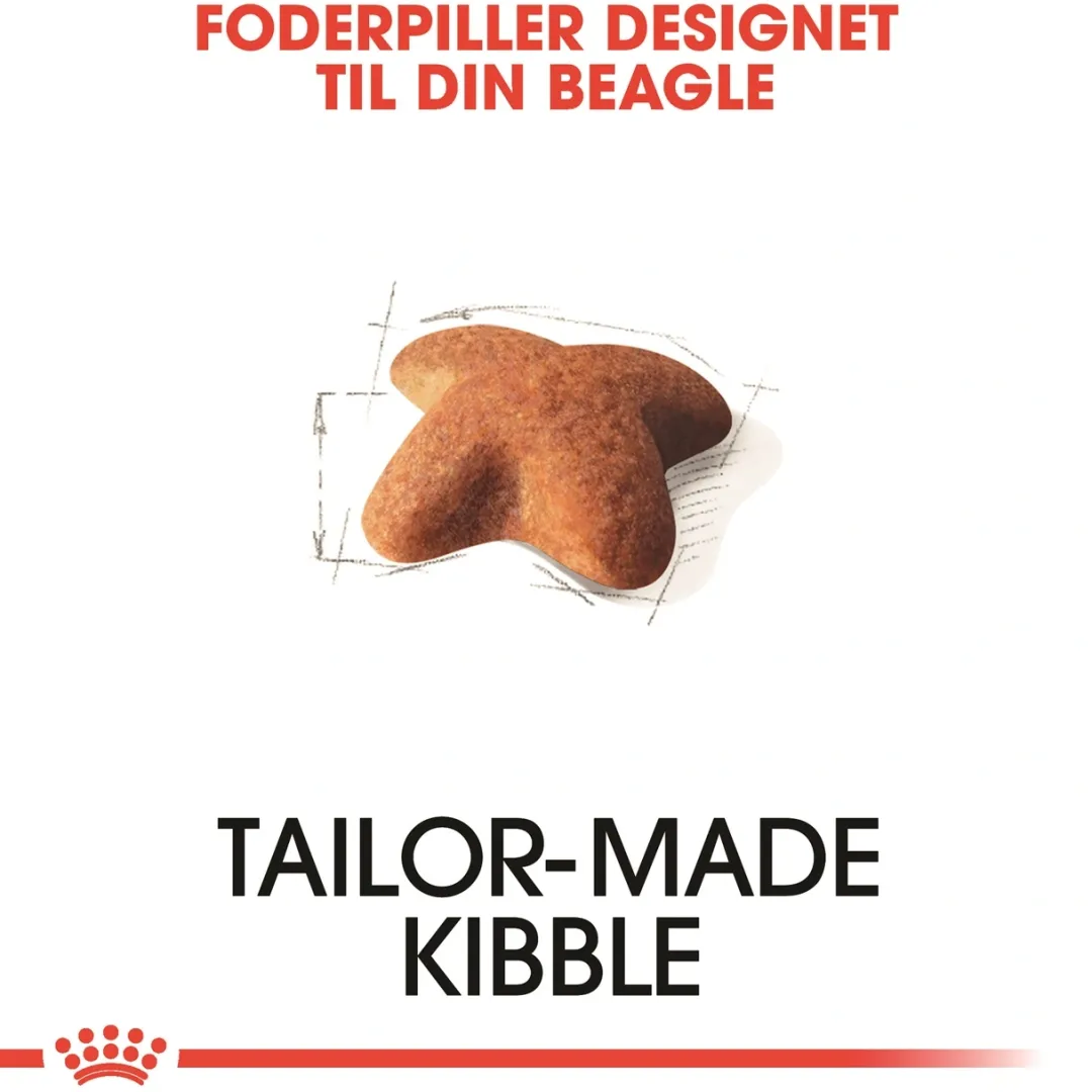 Royal Canin Hundefoder Royal Canin Beagle Adult 12 kg - tørfoder til voksne hunde