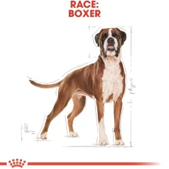 Royal Canin Hundefoder Royal Canin Boxer Adult 12 kg - fuldfoder til voksne boxere