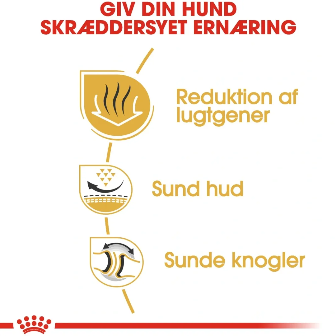 Royal Canin Hundefoder Royal Canin Bulldog Adult 12 kg - tørfoder til voksne hunde