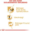 Royal Canin Hundefoder Royal Canin Cavalier King Charles Adult 1,5 kg - tørfoder til små hunde