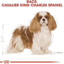 Royal Canin Hundefoder Royal Canin Cavalier King Charles Adult 7,5 kg - tørfoder til voksne hunde