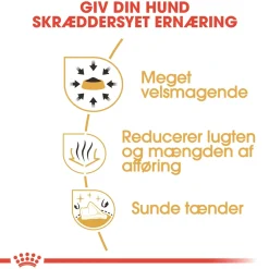 Royal Canin Hundefoder Royal Canin Chihuahua Adult 3 kg - tørfoder til små hunde