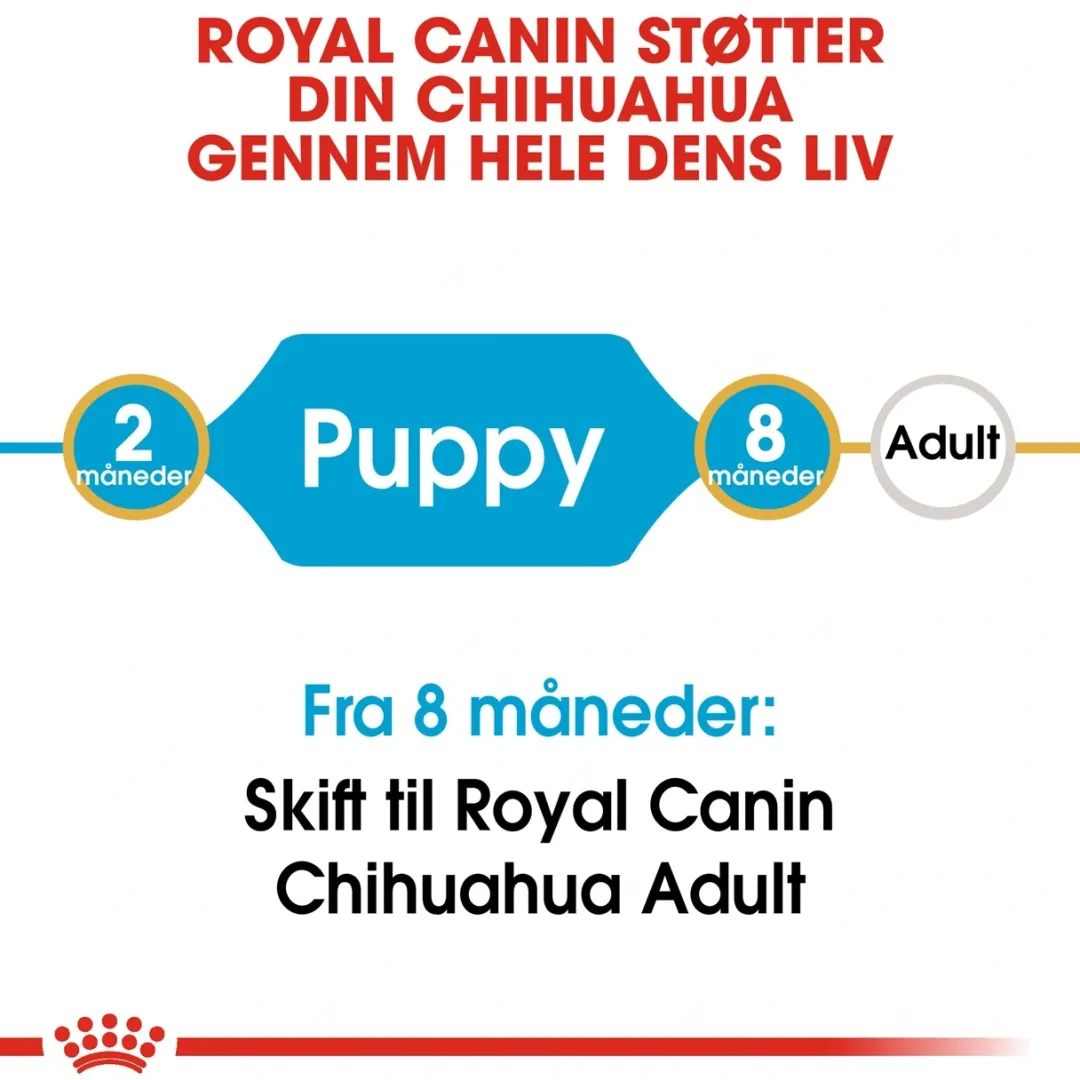 Royal Canin Hundefoder Royal Canin Chihuahua Puppy 1,5 kg - hvalpefoder