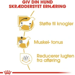 Royal Canin Hundefoder Royal Canin Dachshund Adult 1,5 kg - tørfoder til gravhunde