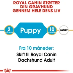Royal Canin Hundefoder Royal Canin Dachshund Puppy 1,5 kg - tørfoder til Gravhund hvalpe