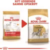 Royal Canin Hundefoder Royal Canin Dalmatian Adult 12 kg - tørfoder til voksne hunde