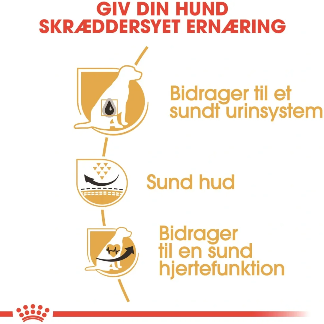 Royal Canin Hundefoder Royal Canin Dalmatian Adult 12 kg - tørfoder til voksne hunde