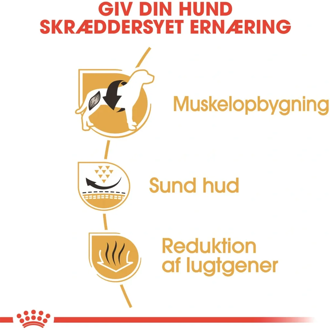 Royal Canin Hundefoder Royal Canin French Bulldog Adult 9 kg - tørfoder til voksne hunde