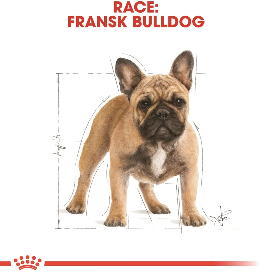 Royal Canin Hundefoder Royal Canin French Bulldog Adult 9 kg - tørfoder til voksne hunde