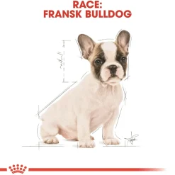 Royal Canin Hundefoder Royal Canin French Bulldog Puppy 3 kg - fuldfoder til hvalpe