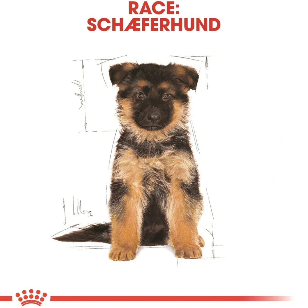Royal Canin Hundefoder Royal Canin German Shepherd Puppy 12 kg - tørfoder til hvalpe