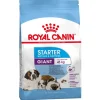 Royal Canin Hundefoder Royal Canin Giant Starter Mother & BabyDog 15 kg - hvalpefoder til kæmperacer og tæver