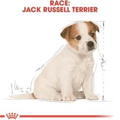 Royal Canin Hundefoder Royal Canin Jack Russell Puppy 1,5 kg - hvalpefoder til energi og vækst
