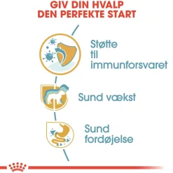 Royal Canin Hundefoder Royal Canin Jack Russell Puppy 1,5 kg - hvalpefoder til energi og vækst