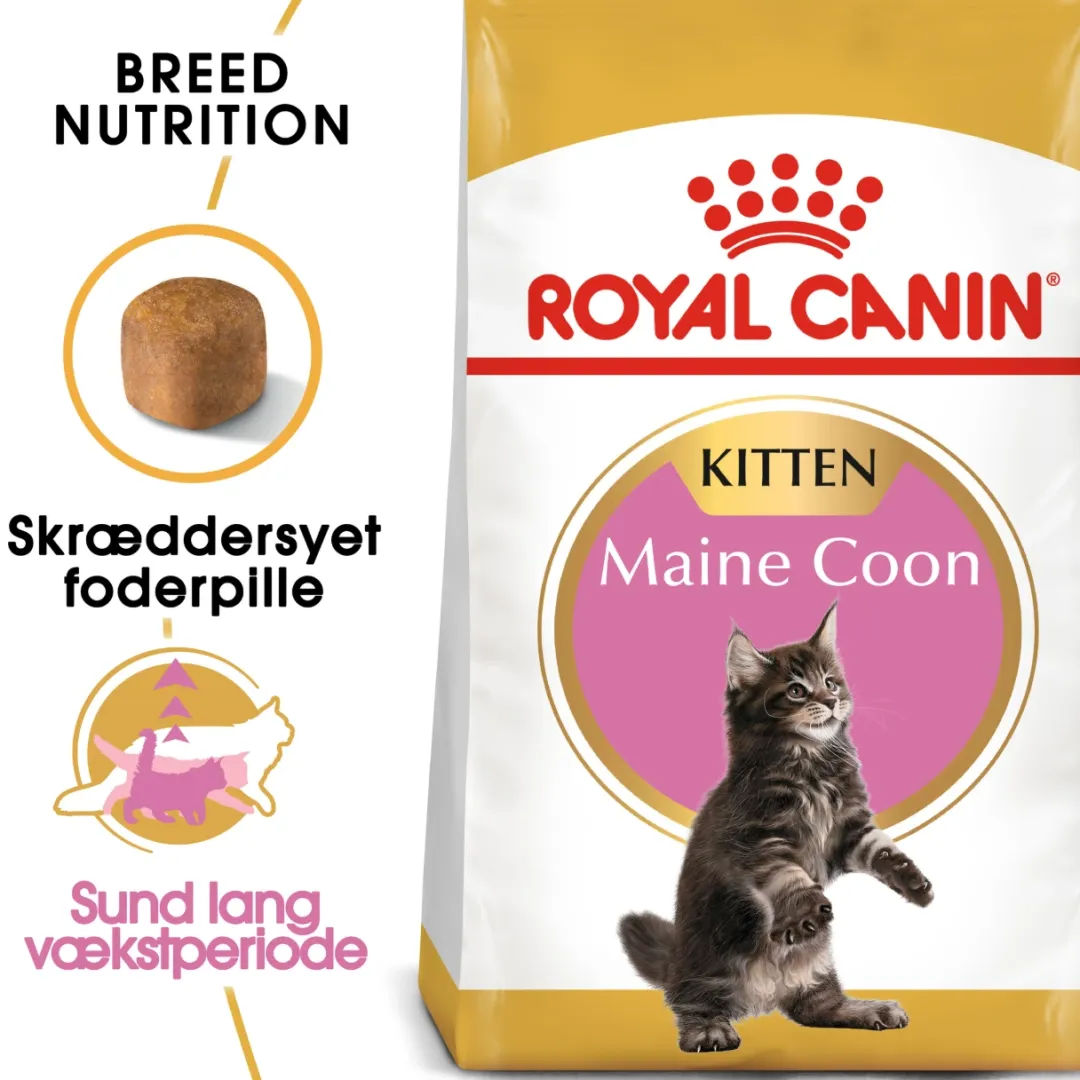 Royal Canin Kattefoder Royal Canin Kitten Maine Coon 10 kg