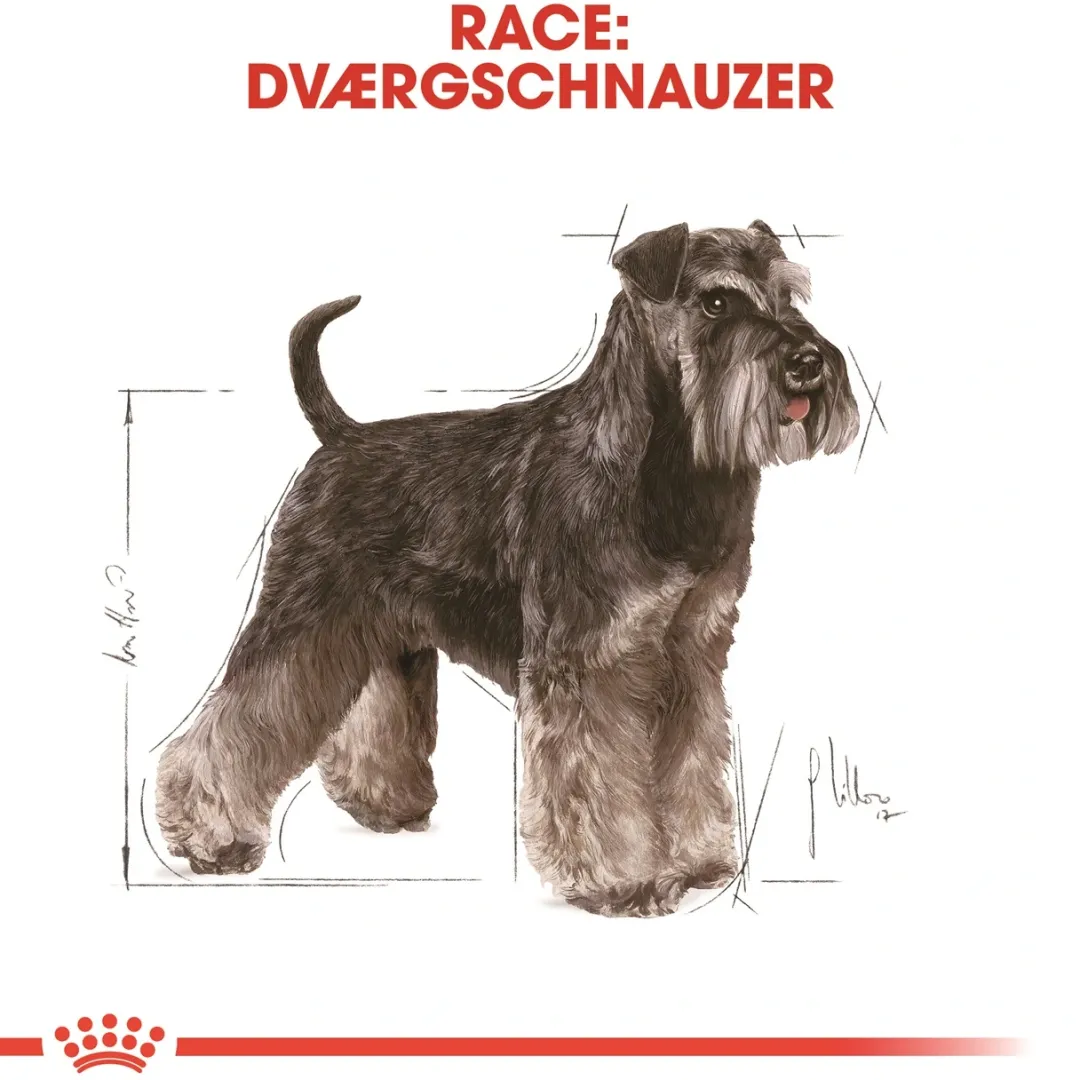 Royal Canin Hundefoder Royal Canin Miniature Schnauzer Adult 3 kg - tørfoder til små hunde