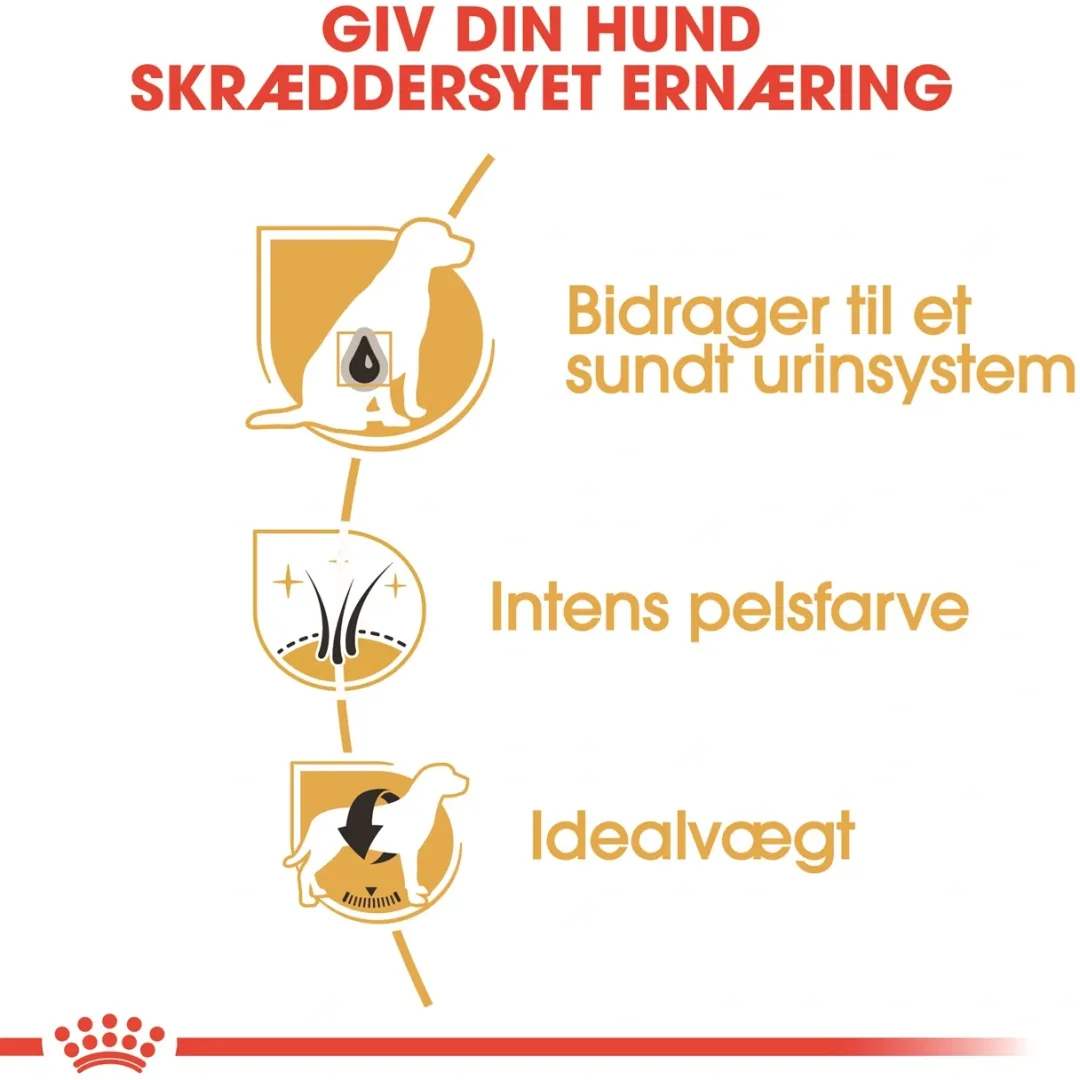 Royal Canin Hundefoder Royal Canin Miniature Schnauzer Adult 7,5 kg - tørfoder til voksne hunde