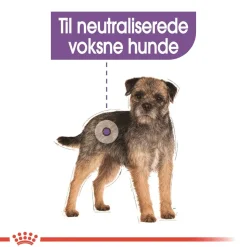 Royal Canin Hundefoder Royal Canin Mini Sterilised Adult 8 kg - hundefoder til steriliserede små hunde