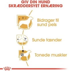 Royal Canin Hundefoder Royal Canin Poodle Adult 7,5 kg - tørfoder til voksne pudler
