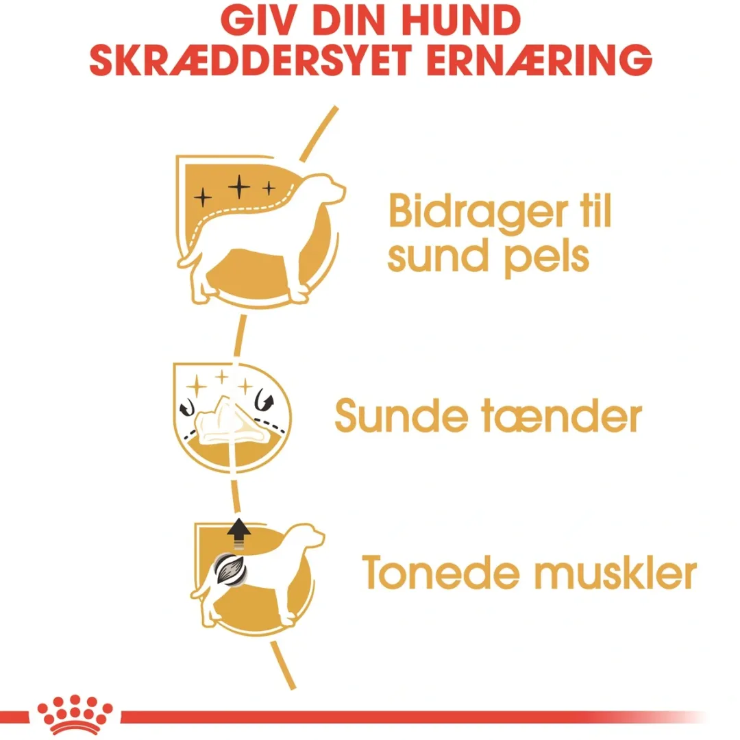 Royal Canin Hundefoder Royal Canin Poodle Adult 7,5 kg - tørfoder til voksne pudler
