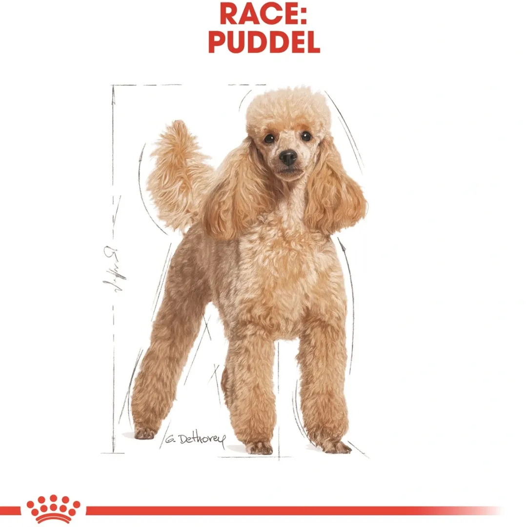 Royal Canin Hundefoder Royal Canin Poodle Adult 7,5 kg - tørfoder til voksne pudler