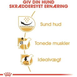 Royal Canin Hundefoder Royal Canin Pug Adult 7,5 kg - tørfoder til mops