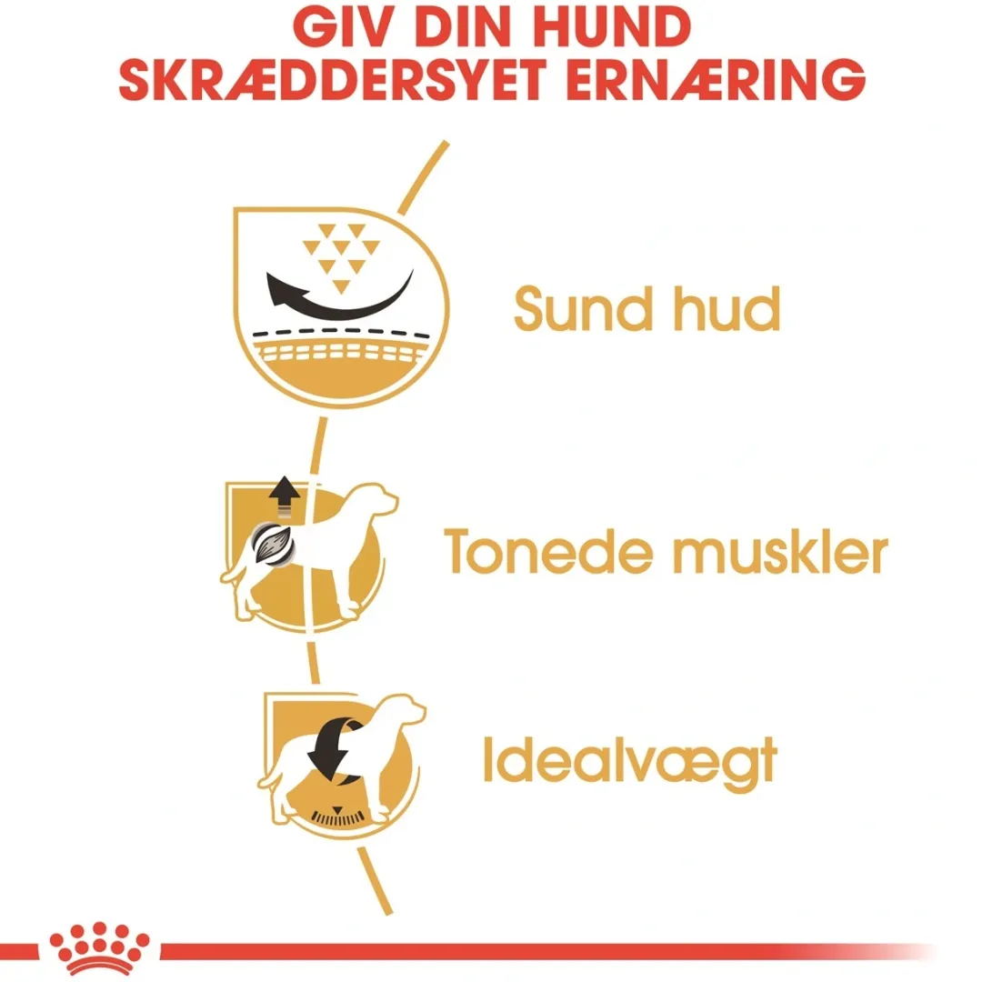 Royal Canin Hundefoder Royal Canin Pug Adult 7,5 kg - tørfoder til mops