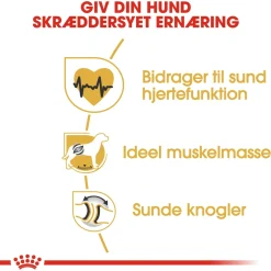 Royal Canin Hundefoder Royal Canin Rottweiler Adult 12 kg - tørfoder til voksne hunde