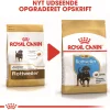 Royal Canin Hundefoder Royal Canin Rottweiler Puppy 12 kg - tørfoder til hvalpe