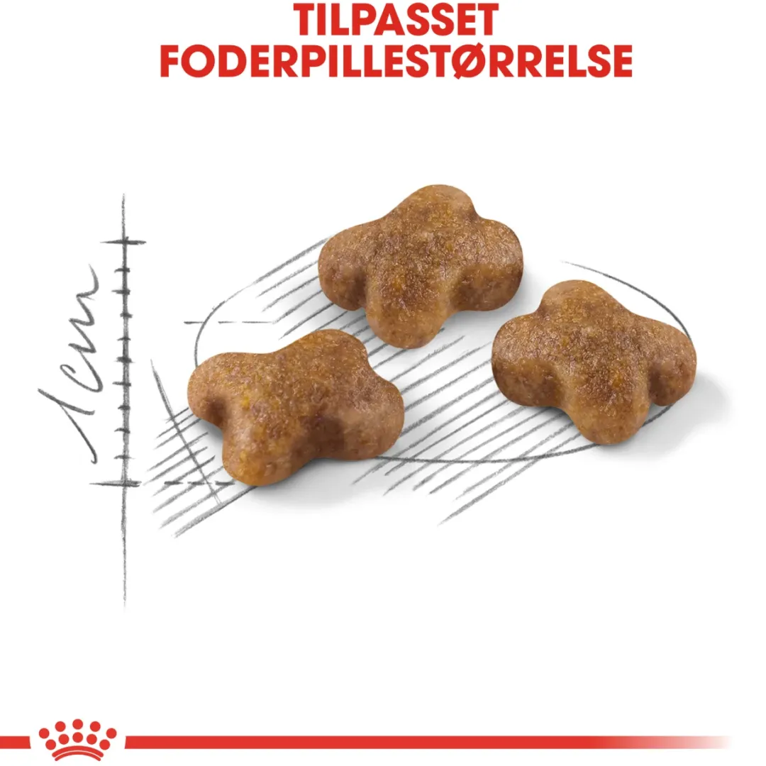Royal Canin Kattefoder Royal Canin Second Age Kitten 400 g