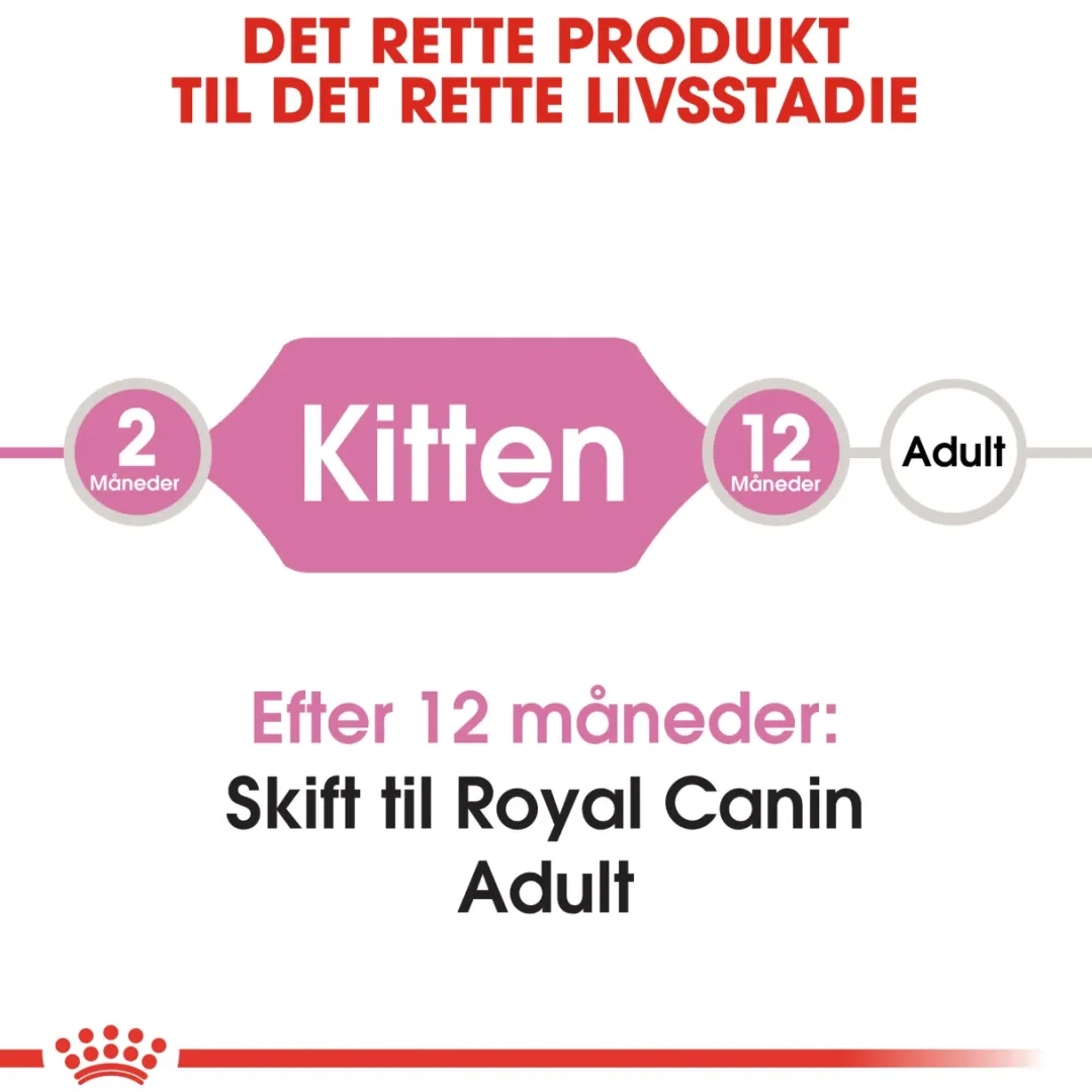 Royal Canin Kattefoder Royal Canin Second Age Kitten 4 kg