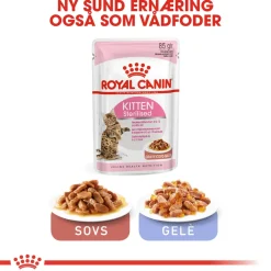 Royal Canin Kattefoder Royal Canin Second Age Kitten Sterilised 2 kg