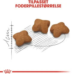 Royal Canin Kattefoder Royal Canin Second Age Kitten Sterilised 2 kg