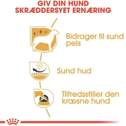 Royal Canin Hundefoder Royal Canin West Highland White Terrier Adult 1,5 kg - tørfoder til Westie