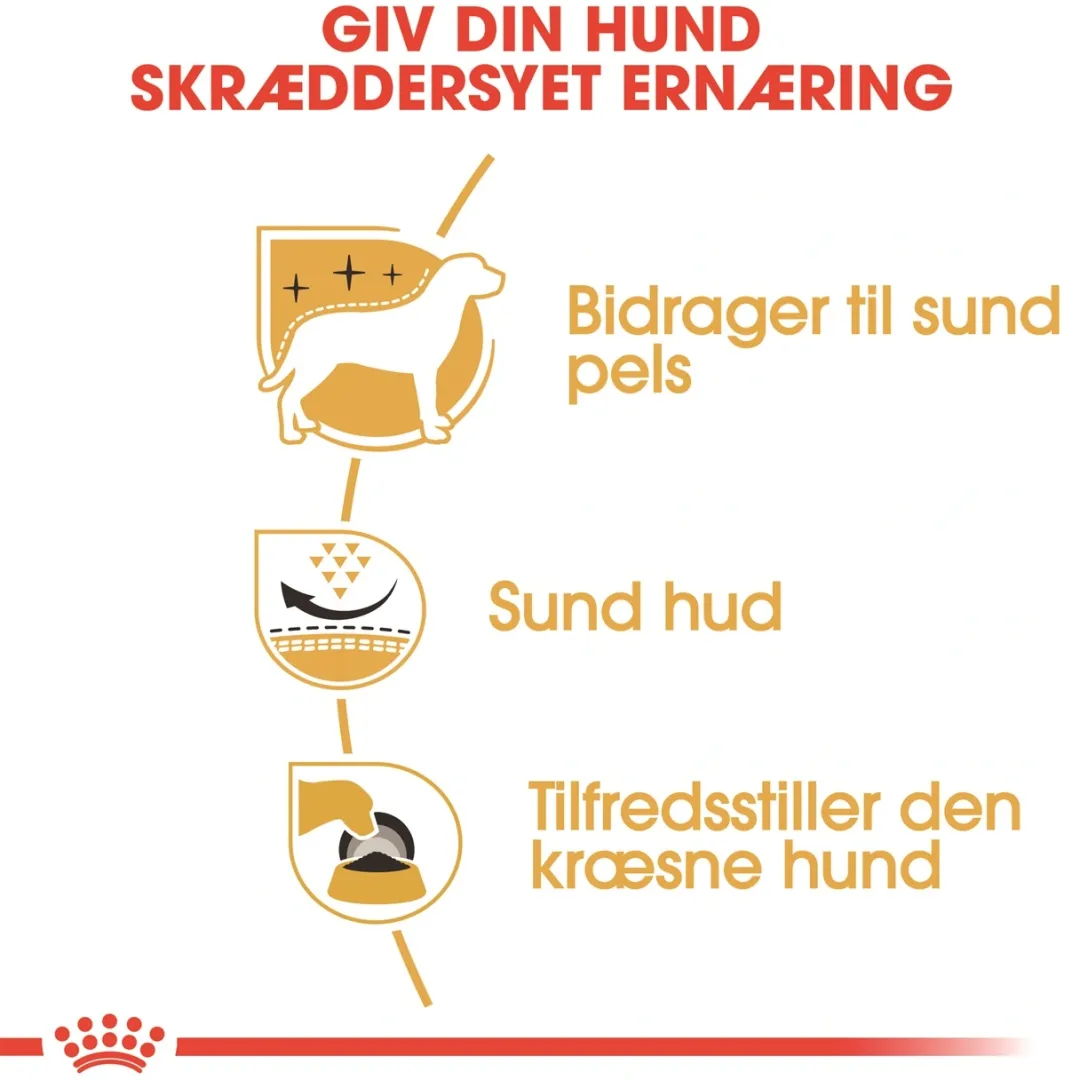 Royal Canin Hundefoder Royal Canin West Highland White Terrier Adult 1,5 kg - tørfoder til Westie