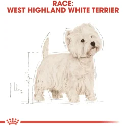 Royal Canin Hundefoder Royal Canin West Highland White Terrier Adult 1,5 kg - tørfoder til Westie