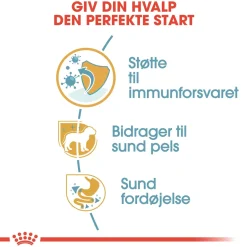 Royal Canin Hundefoder Royal Canin Yorkshire Terrier Puppy 1,5 kg - tørfoder til hvalpe